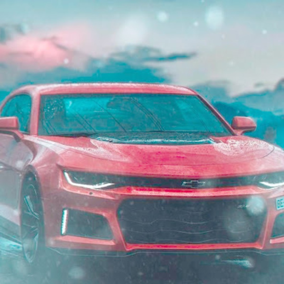 Meet your Posher, Alexander - Picture 1 of 1